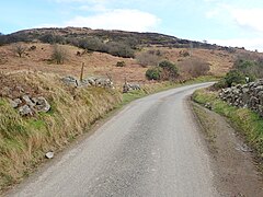 Bracken infestation in the Ring of Gullion - geograph.org.uk - 5720503.jpg