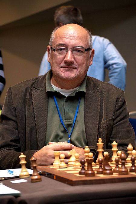 Branko Damljanović 2011.jpg