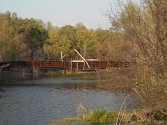 Пешеходный мост через реку Тускарь, вид с левого берега ниже по течению