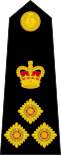 British Royal Marines OF-6.svg