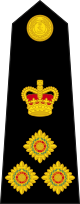 Royal Marines britanniques OF-6.svg