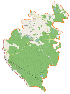 Mapa konturowa gminy Brody, blisko lewej krawiędzi nieco na dole znajduje się punkt z opisem „Przejście graniczneZasieki-Forst”