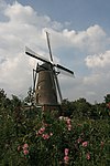 Budel - molen Zeldenrust.jpg