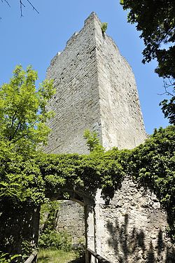 Burg Rauheneck в Бадене 05.jpg