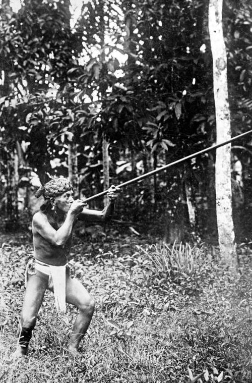 A Dayak man using a blowgun, Dutch East Indies, circa 1920