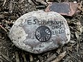 Rock snake created during the 2020 COVID-19 pandemic in Bursted Wood at Barnehurst.