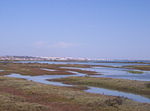 Thumbnail for Bahía de Cádiz Natural Park