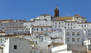 Casa blancas en Alcalá de los Gazules.jpg