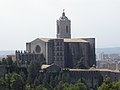 Catedral Girona from Montjuic.JPG