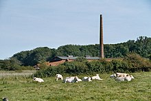 The Cathrinesminde brickworks near Iller Strand.