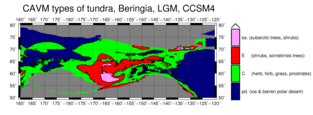 Beringia during the Last Glacial Maximum. Ccsm4 beringia lgm tundratypes by temperature 1.png