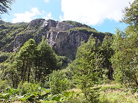 Cerro y arboles ubicados en la Reserva Nacional del Rio Simpson.jpg