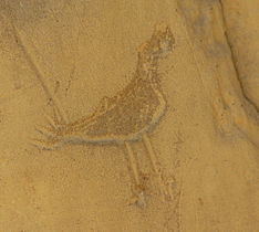 Piktogram ing Taman Nasional Kabudayan Chaco, New Mexico