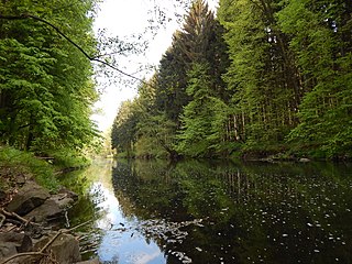 Chemnitz (river) River in Germany