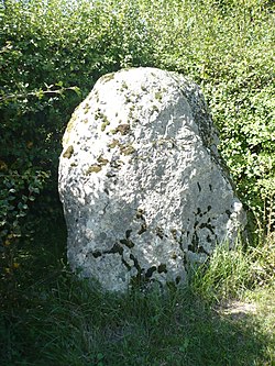 Imagem ilustrativa do artigo Menhir et dolmen de l'Aurière