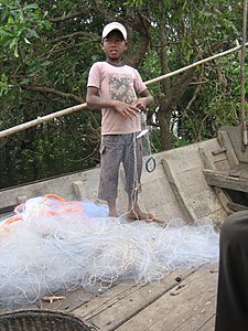 কম্বোডিয়ার টনলে স্যাপে শিশু মাছ ধরছে