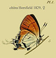 Thumbnail for version as of 21:17, 15 October 2012