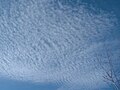 cirrocumulus stratiformis