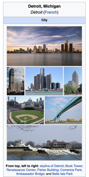 File:City Infobox Montage Style 2.png
