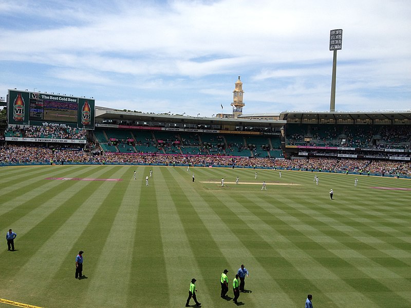 File:Clarke celebrates 100 at SCG.JPG