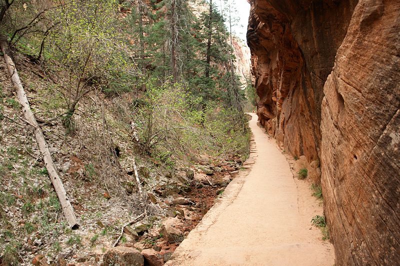 File:Climbing up to Angels Landing (Zion National Park) (3444021042).jpg