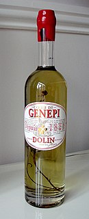 Génépi Traditional herbal liqueur or aperitif in the Alpine regions of Europe