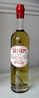 Génépi traditional herbal liqueur or aperitif in the Alpine regions of Europe