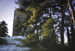 Conna Castle von Osten aus gesehen