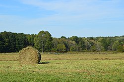 Coolspring Township hay field with bale.jpg