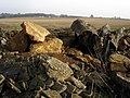Cotswold stone cleared from a field - geograph.org.uk - 303655.jpg