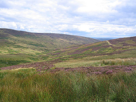 White Hill (Forest of Bowland)