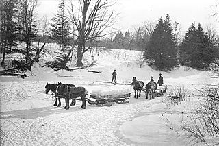 <span class="mw-page-title-main">Ice cutting</span> Cutting of ice in winter that is stored for cooling in summer