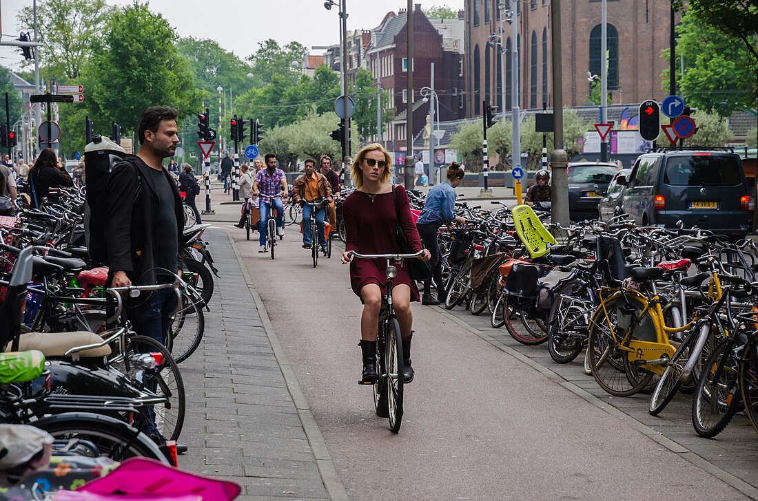 File:Cycling Amsterdan 04.jpg