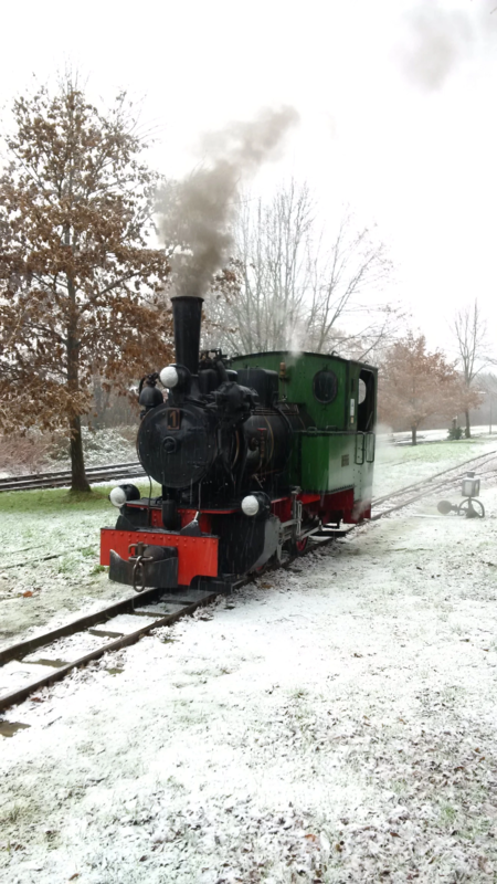 Dampflokomotive Nr.1 Des DFKM