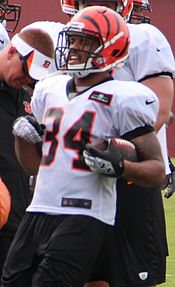 Herron at Bengals' training camp in 2013 Dan Herron 2013.jpg