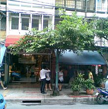 Desmos chinensis-Bangkok107.jpg