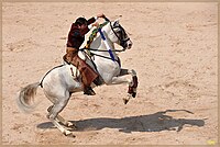 Saut d'obstacles - Vikidia, l'encyclopédie des 8-13 ans