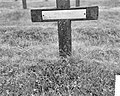 Duitse begraafplaats Ysselsteyn in Limburg, Bestanddeelnr 915-2764.jpg