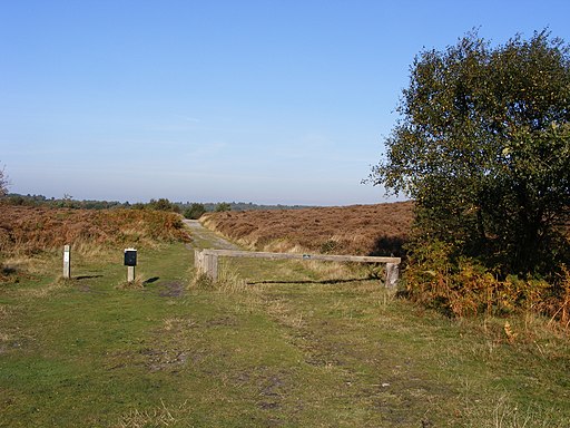 Dunwich Heath, footpath - geograph.org.uk - 1733710