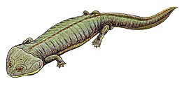 Реконструкція Dvinosaurus primus