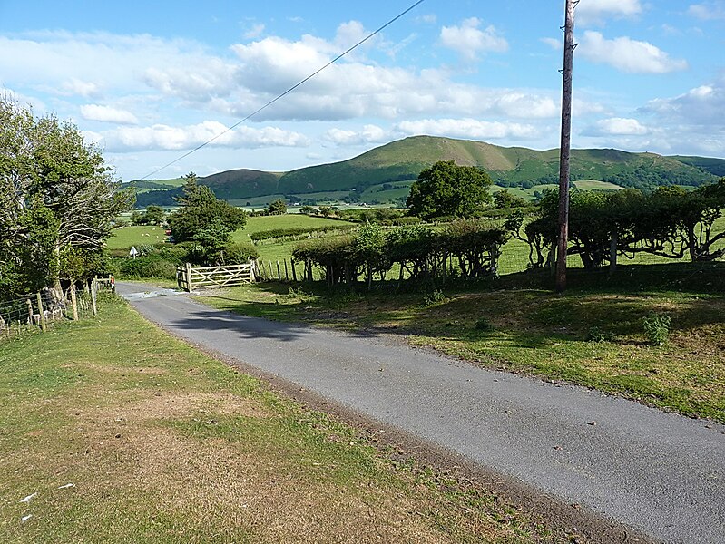 File:East of Womerton - geograph.org.uk - 4569959.jpg