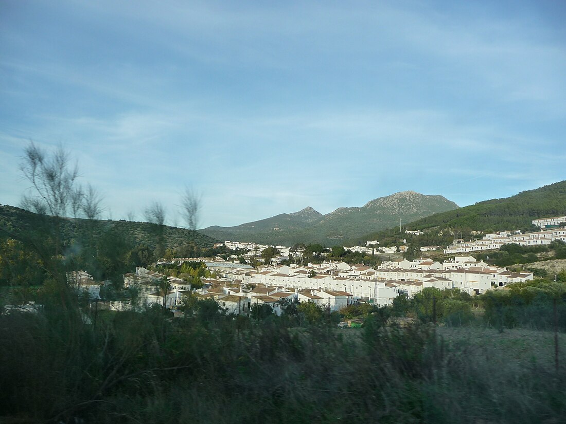 El Bosque (Andalúzia)