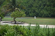 English: Picture taken in archaeological zone El Rey, Cancún Deutsch: Bild aufgenommen in der archäologische Zone El Rey, Cancún