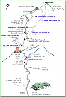 A map of hiking trails and landmarks along PR-191 in El Yunque National Forest El Yunque Trails Map.png