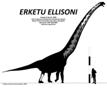 Erketu ellisoni skeletal.png