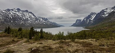 Ersfjorden depuis Ersfjord view point