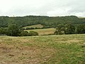 Farmland, Ystywth valley - geograph.org.uk - 51563.jpg
