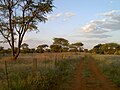 Namibie: Historie, Státní symboly, Geografie