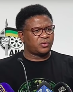 Fikile Mbalula South African politician