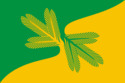 Flag of Tayozhny